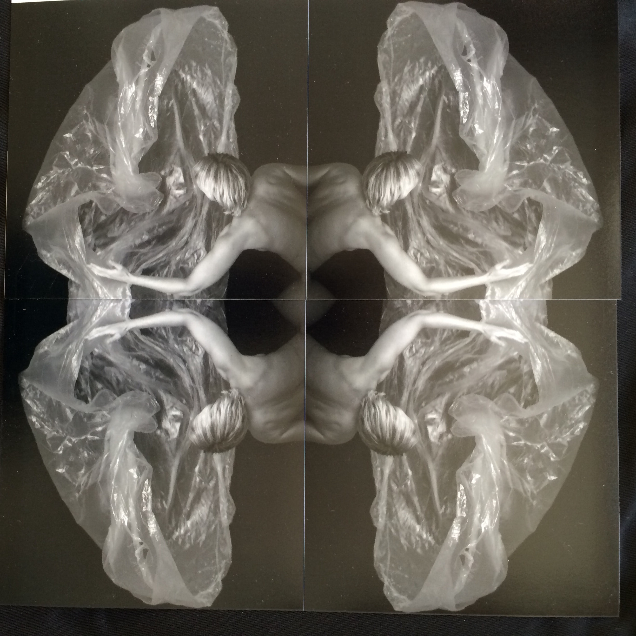 Four mirrored translucent forms arranged symmetrically around a dark centre