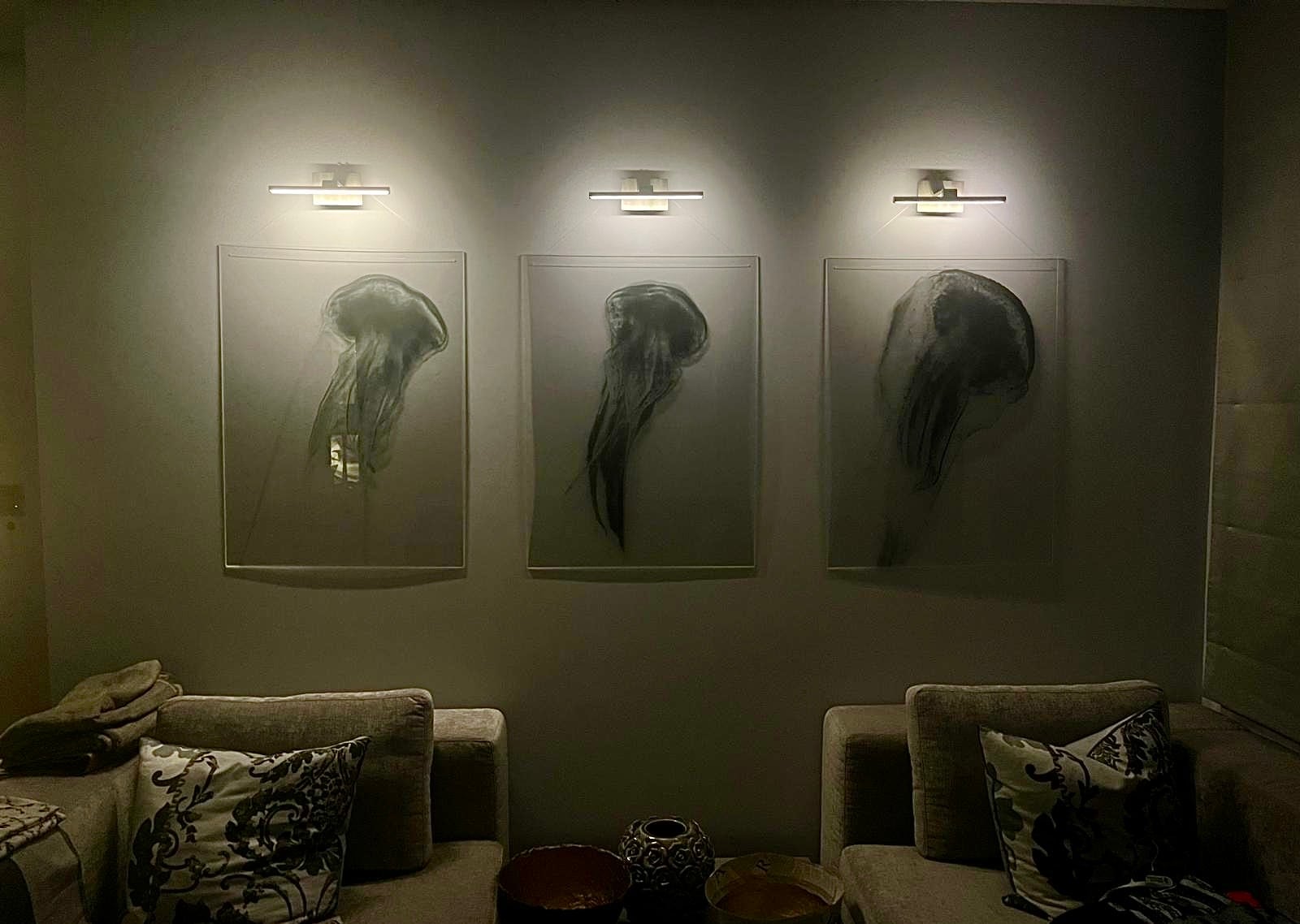 Jellyfish Photograms