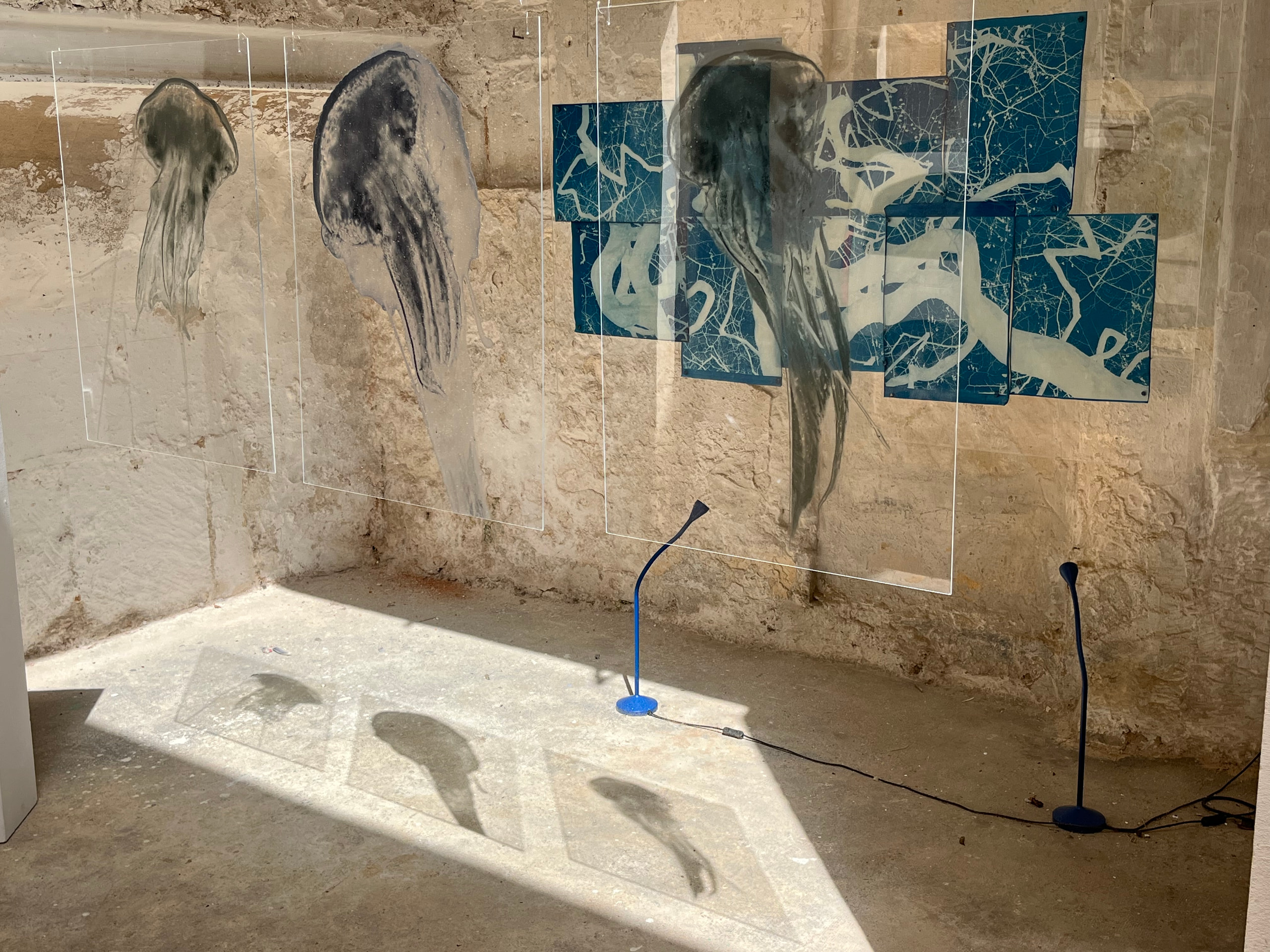 Suspended transparent jellyfish panels casting shadows beside blue drawings on a stone wall