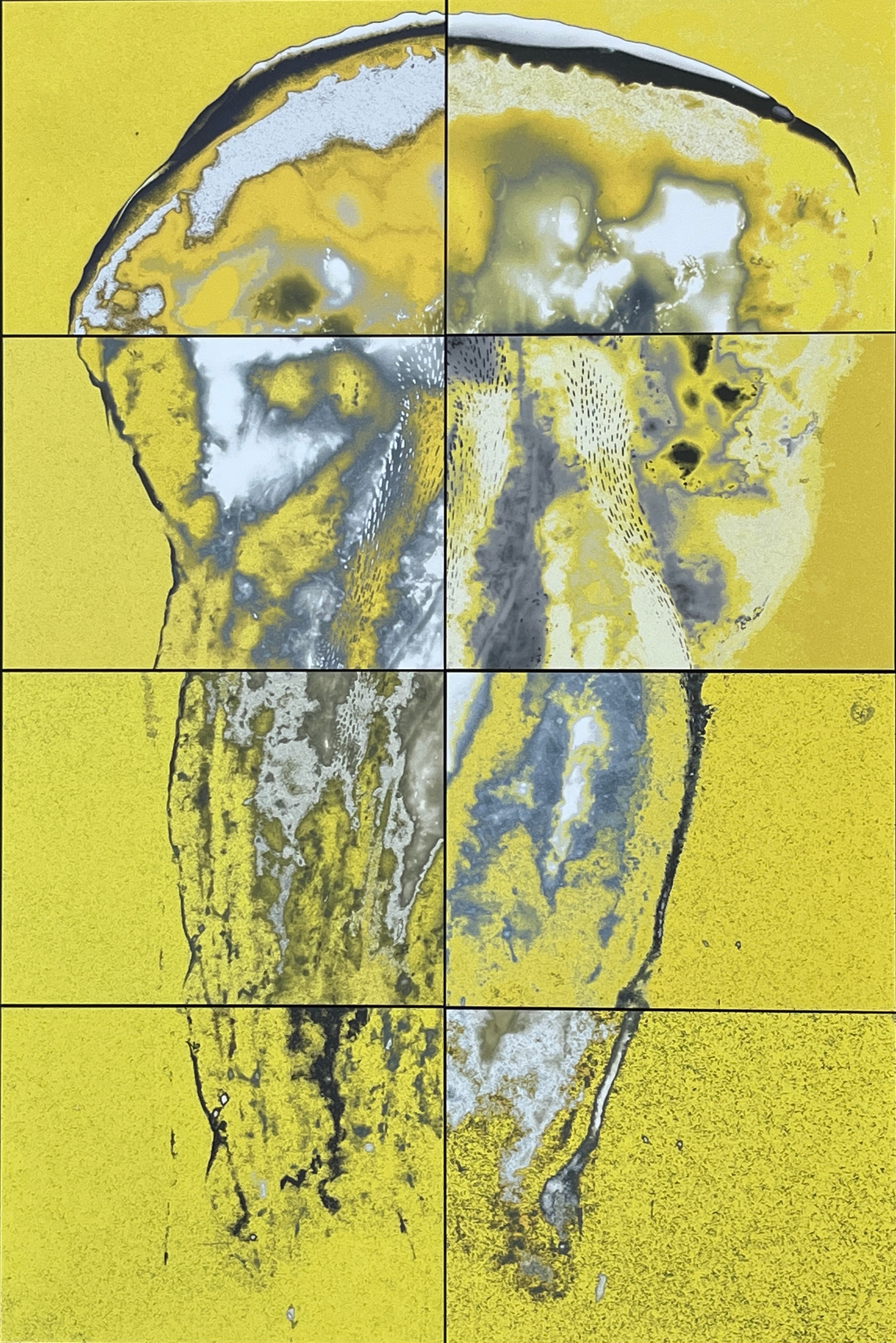 A jellyfish image in yellow and grey across eight rectangular panels