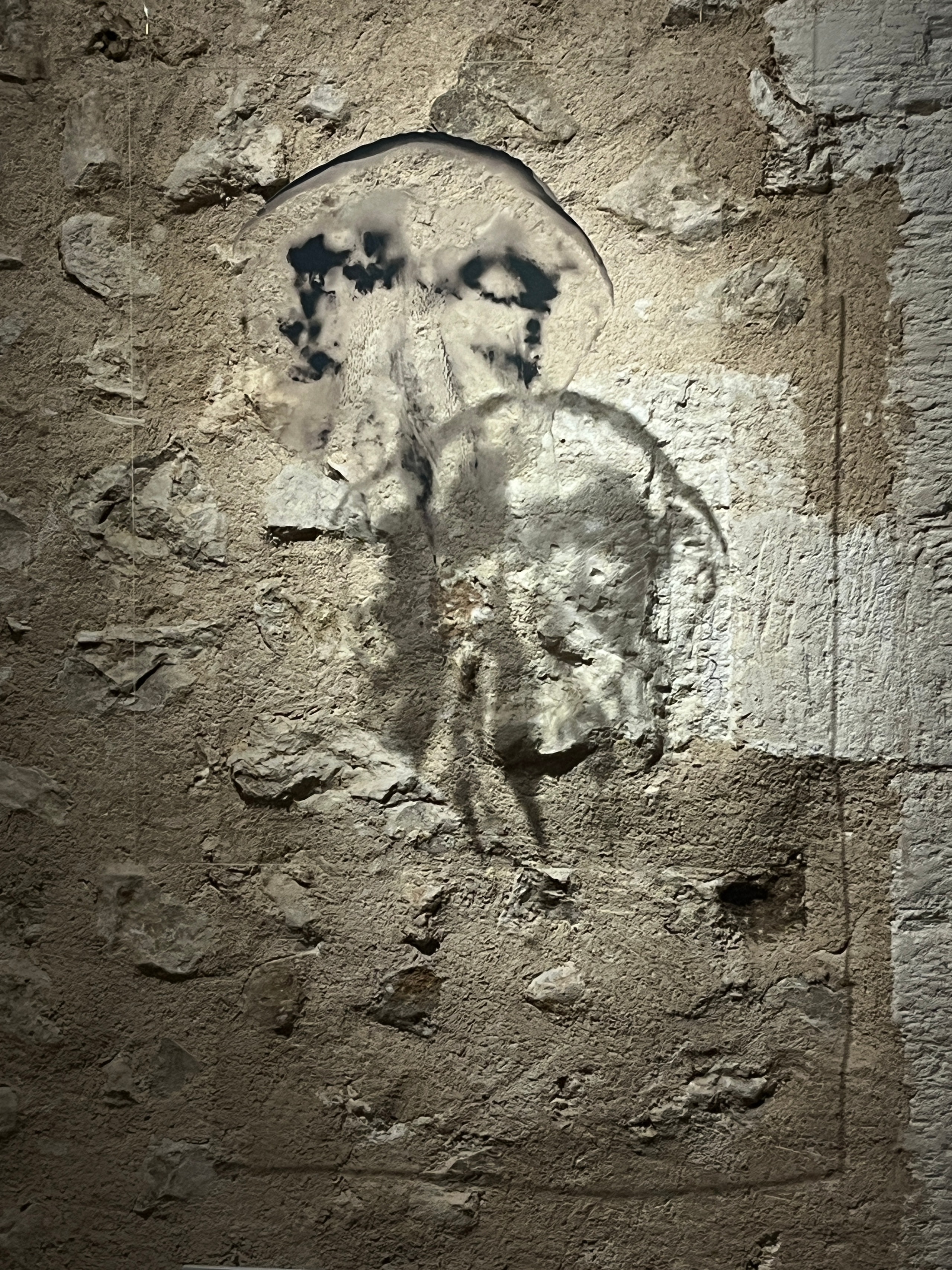Overlapping jellyfish forms illuminated on a rough stone wall