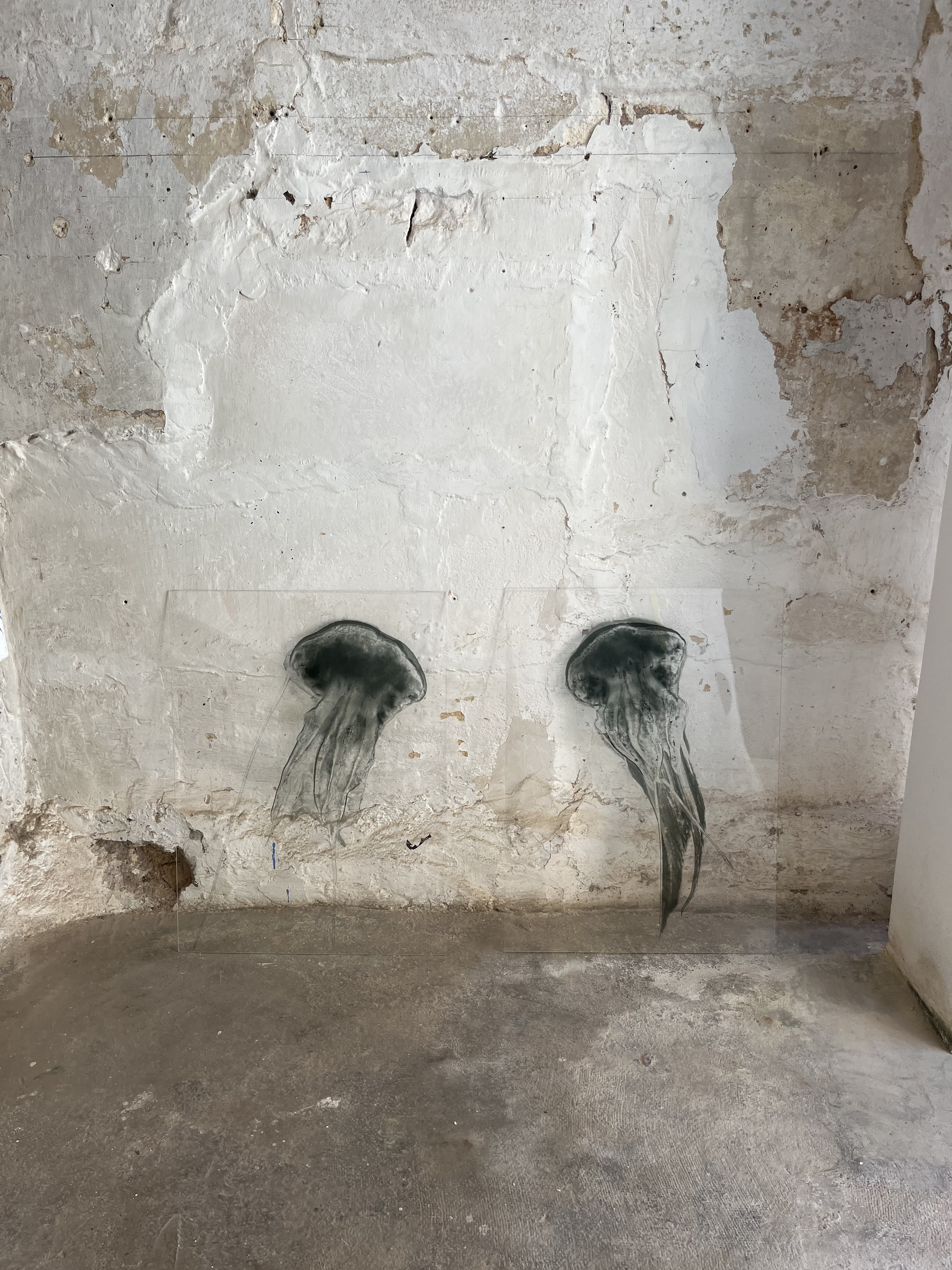 Two dark jellyfish forms on transparent panels against a pale weathered wall