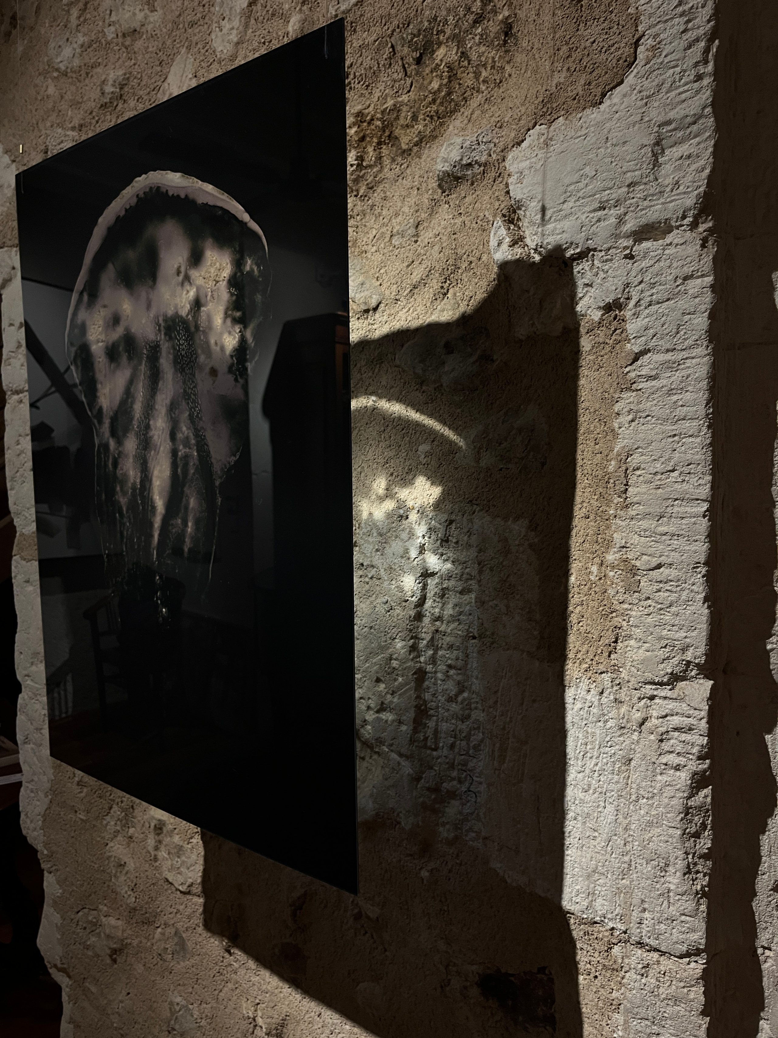 A dark rectangular jellyfish panel suspended in front of a textured stone wall
