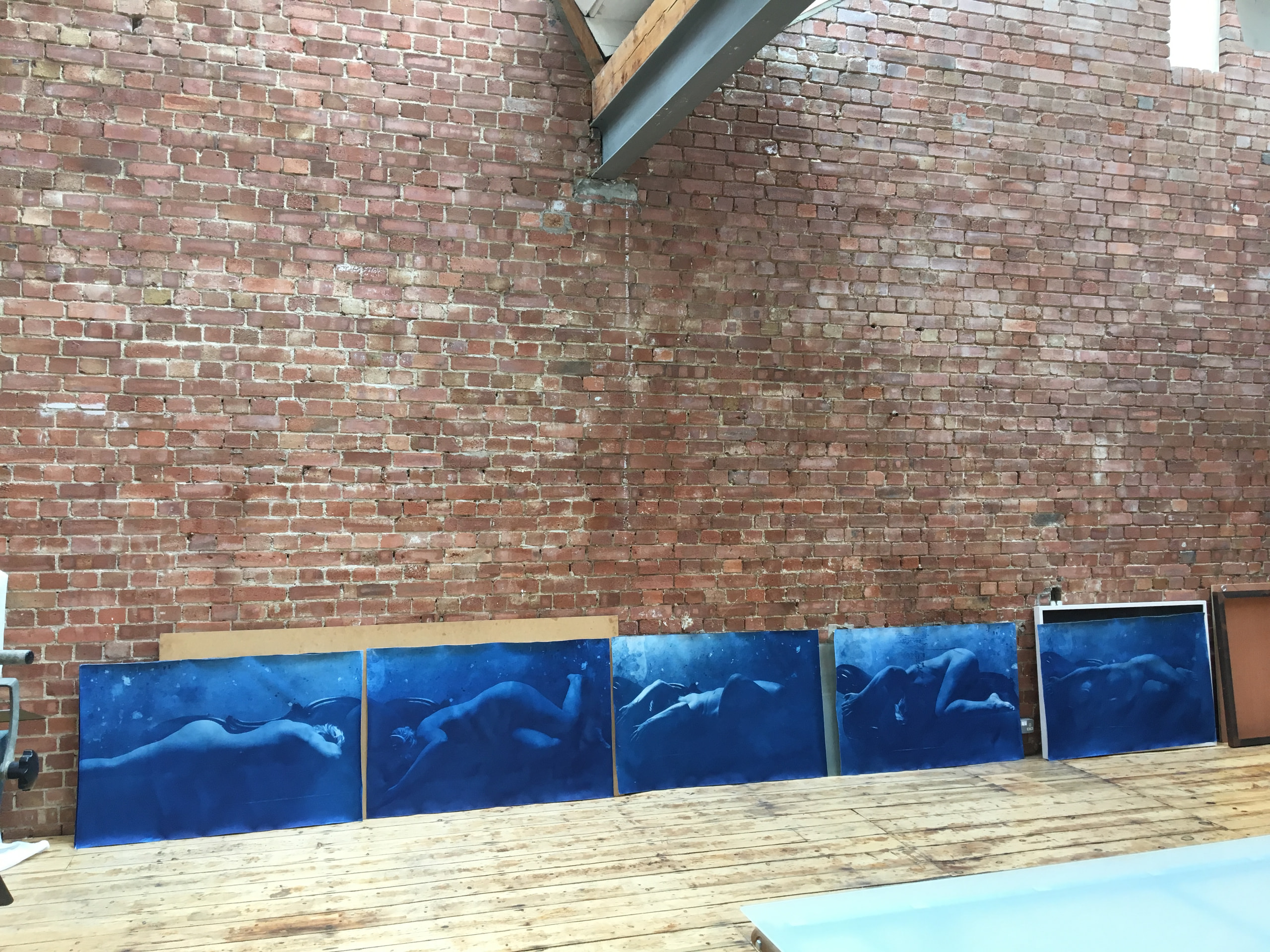 A row of blue photographic panels installed along a brick wall beside a pool