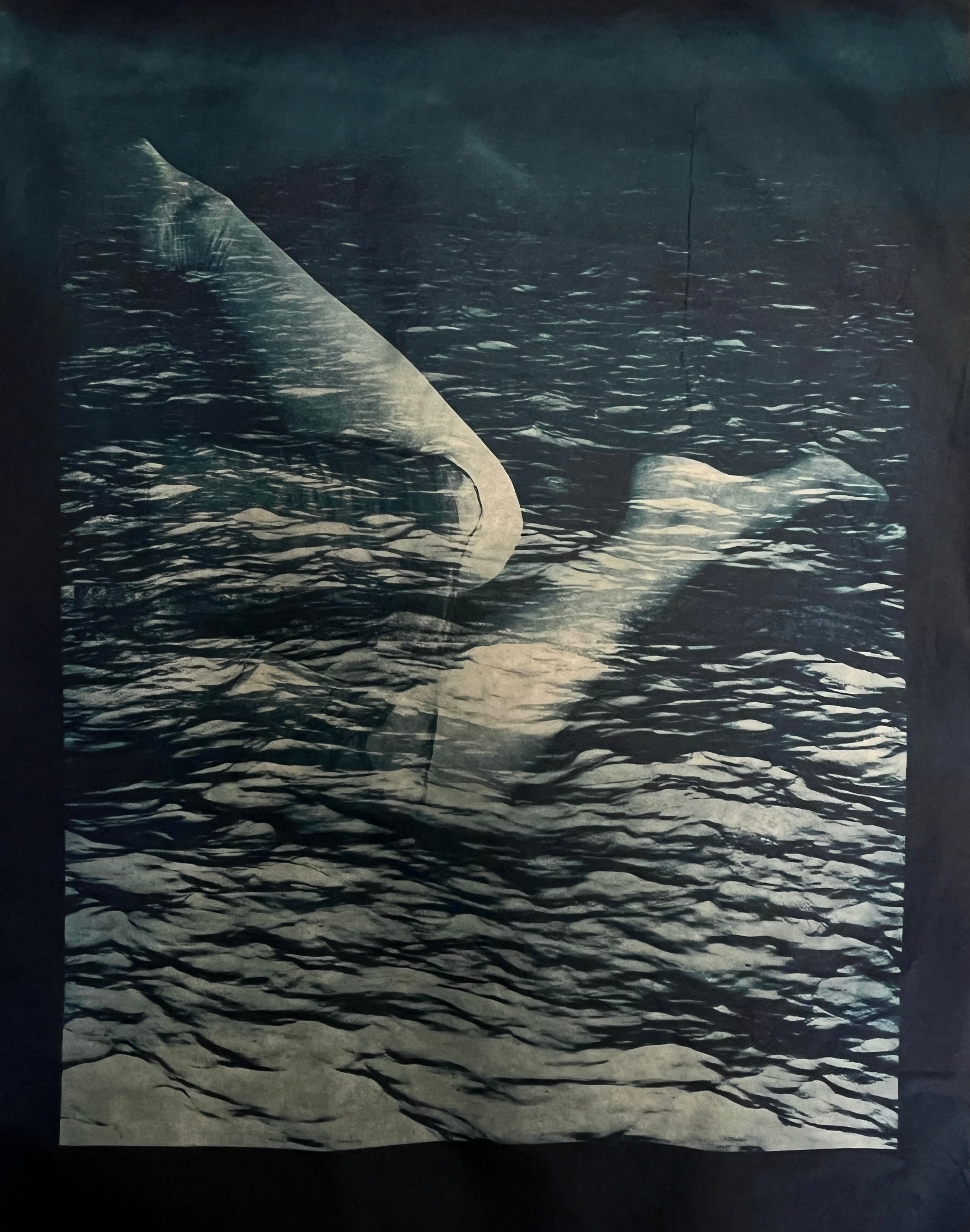 Pale curved body forms layered over a dark rippling water surface