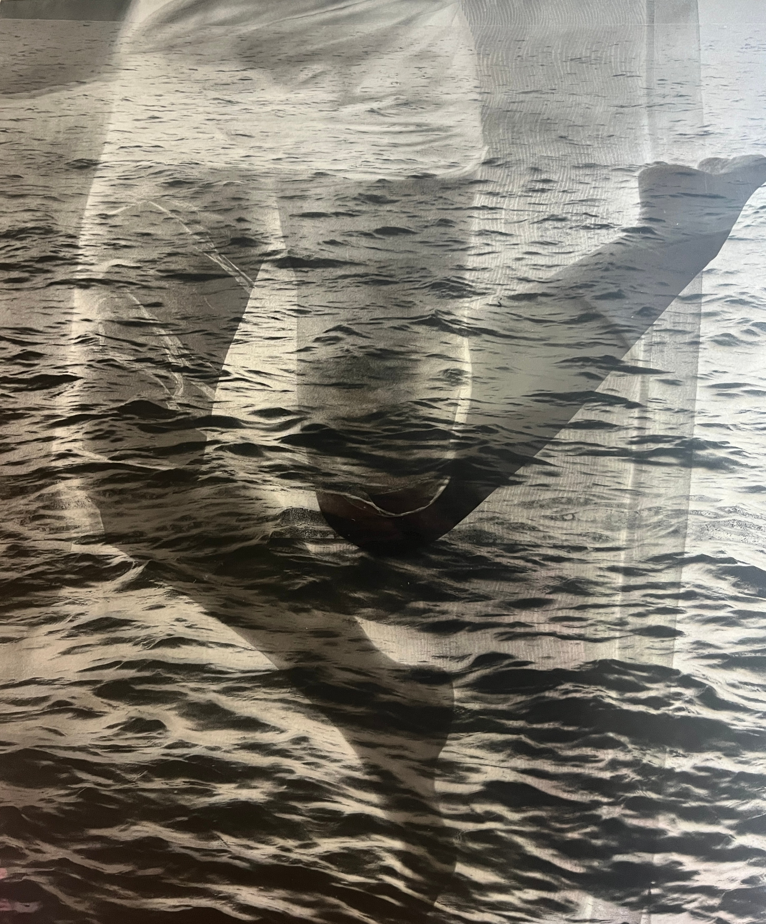 Overlapping body contours and dark curves against the surface of water